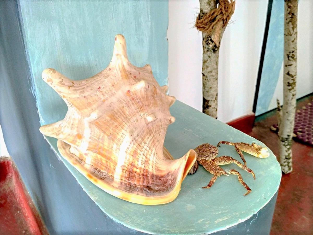Banana Garden Hotel Banduramulla Eksteriør billede